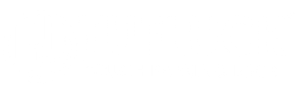 TufLuck - Tough Motorcycle Parking Lock